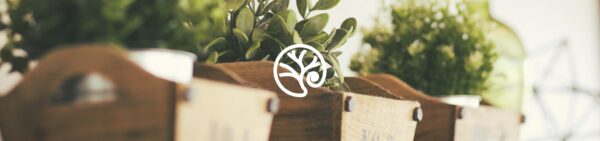 Woo Sample – Simple
