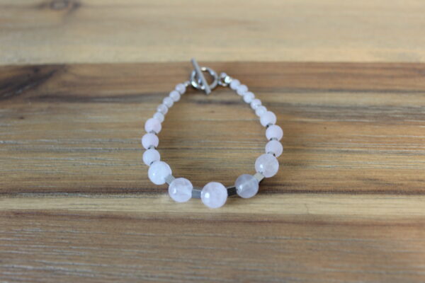 The Delicate Rose - Image 2