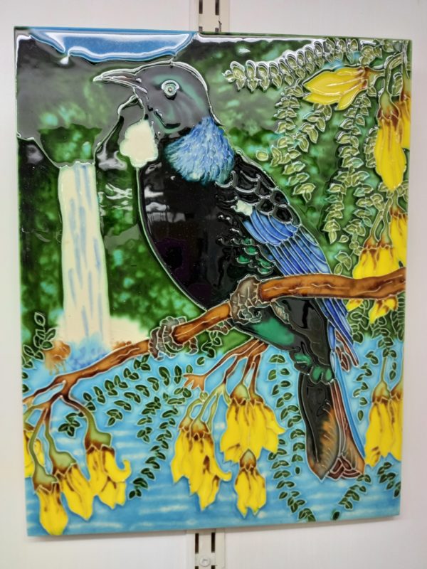 Tui on Kowhai