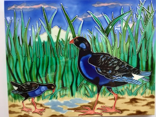Pukeko and Chick
