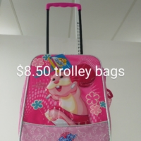 Trolley bag